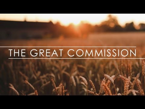 Cincinnati Bearcat or Duke Blue Devil | Sunday, October 12th, 2025