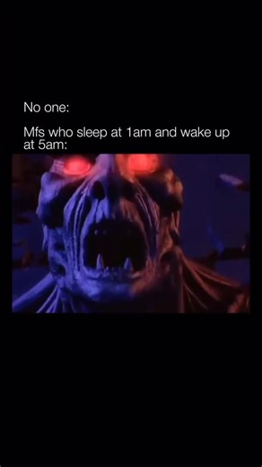 pointless.memes.mp4 on Instagram