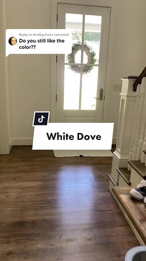 Benjamin Moore White Dove Paint Color Review