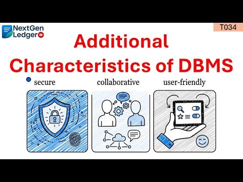 What are the Additional Characteristics of DBMS? Beginner's Overview