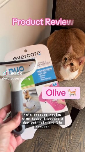 ✨PRODUCT REVIEW✨ of an evercare duo pet hair & lint remover. 👀 watch as I try out this pet fur 🐈 and lint remover metal comb in one side and the other side is a delicate comb. Watch as I remove cat fur from my upholstered chair. I give it a 10 out of 10 although Olive wasn’t too thrilled. #e#eldredgecleaninga#asmrs#satisfyingc#cleanwithmec#cleaningmotivationc#catf#furbabyc#cathairp#pethairremovalf#furball
