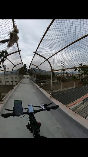 Exploring California: Behind the Scenes of an E-Bike Delivery