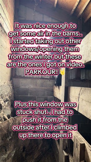 It’s about time to start opening the windows #outside #clean #spring #freshair #windows #barn #fyp