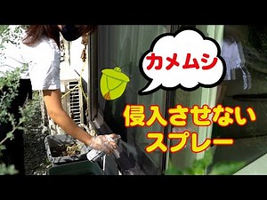 【カメムシ侵入防止】ガラスにスプレーしてもほとんど曇らない 害虫侵入防止スプレー カメムシ駆除! ムシクリン インセクトガード（窓用)stink bug extermination