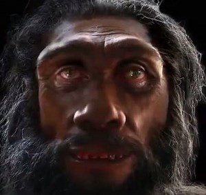 1.1K reactions · 1.2K shares | The evolution of the human face in 6 million years. Wow! | Buzzworthy | Facebook