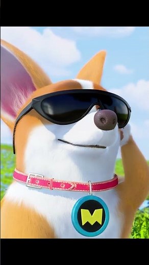 Pet House 🐱🐹 | Ready to Go 飛狗家族出戰 | Flying MOCO Shorts 爆笑飛狗MOCO (2024)