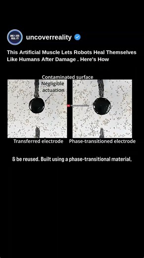 This Artificial Muscle Lets Robots Heal Themselves Like Humans After Damage. Here's How #shorts