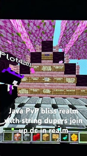 Java PvP bliss realm join up