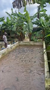 Fish Farming Is Highly lucrative and Prolific. What you Need is To Understand their Management and Disease prevention. | Livestock Farmer