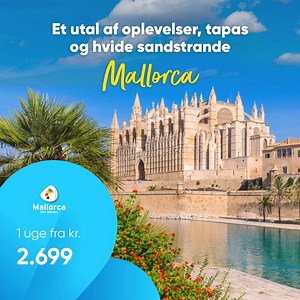 Når det bliver koldt og blæsende i Danmark finder du stadig sol og varme på Mallorca ☀ Nyd gåture på stranden, tapas til aften og en drink i solnedgangen 😍 Find din efterårsrejse til Mallorca her 👉 https://fal.cn/3rXmf | Bravo Tours