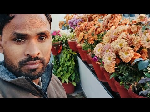 आओ चले लाइव मिलकर करे धमाल क्योंकि हम हैं कमाल 2.o🤣🤣🤣