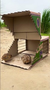 How to Make an Easy Bird Trap at Home (100% Working) #diy #trap