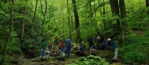 Investigating Landforms