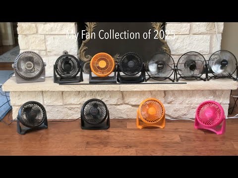 My Fan Collection of 2025