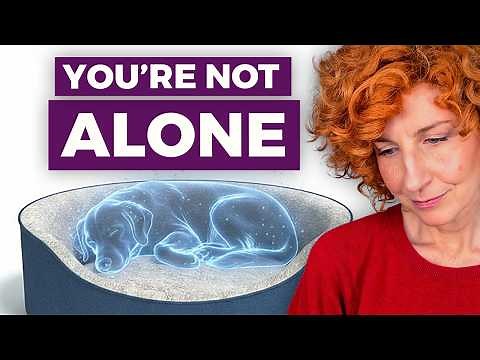 Can’t Stop Crying After Pet Loss? This Will Help
