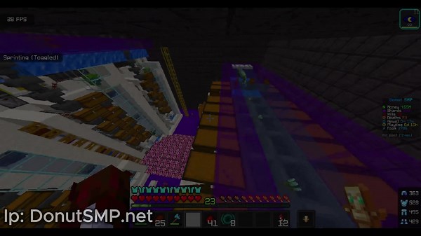 How many pickles I make after less than an hour!!! #donutsmp #donutsmp.net #minecraft #picklefarm #fyp @mtw_ronny77 @santiago.dxb