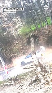 1.4M views · 11K reactions | Surveillance video captured the moment a large tree came crashing down on a car in Kennett Square, Pennsylvania. The video shows the driver exiting the car without any visible injuries. Thankfully, there was no else inside the vehicle. https://abcnews.visitlink.me/WbtCr5 | ABC News | Facebook