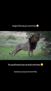 Epic Private Journeys on Reels