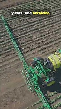 The Crop Feeding Billions: SHOCKING!!! #tiktok
