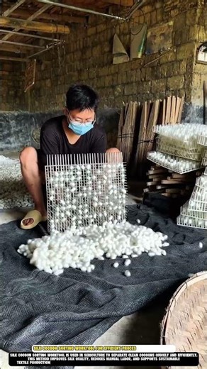 Silk Cocoon Sorting Worktool for Efficient Processing in Sericulture