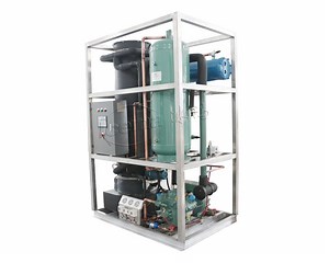 [Hot Item] Commercial Ice Machine 1 Ton/Day Ice Tube Machine for Philippines