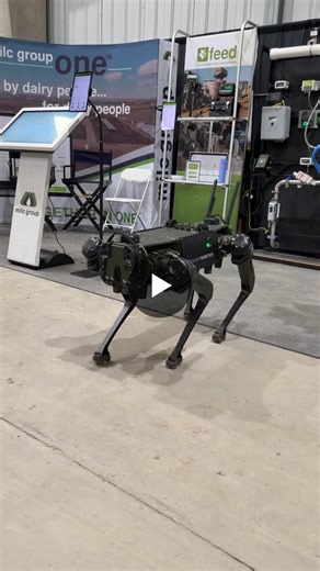 The robot dog from Ghost Robotics is here at World Ag Expo in our booth. Come see the next step in dairy technology! We promise it doesn’t bite! | milc group