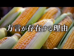 Why do dialects exist? Solving the mystery with corn. [Linguistic Geography 1] #311