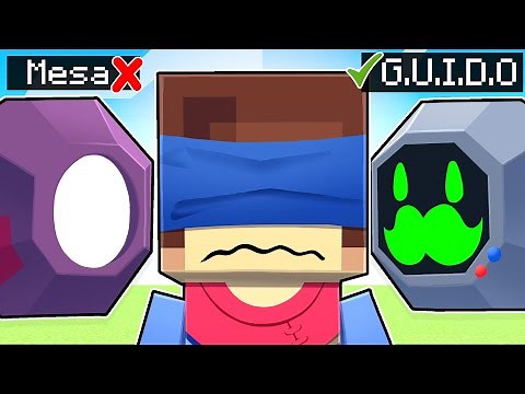 Guess The ROBOT In Minecraft!