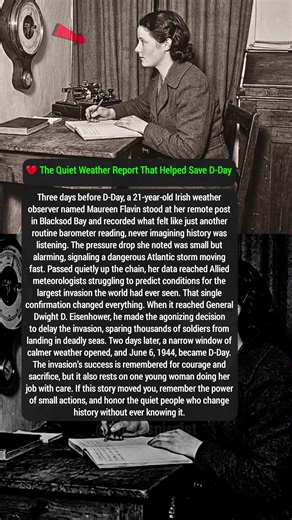 💔 The Quiet Weather Report That Helped Save D-Day