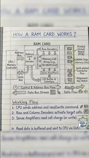 What Does RAM Do?