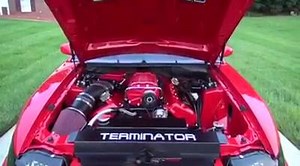 Wow....This is a beast! #cobra #mustangcobra #terminator #mustang #ford #SVT | Mustang Cobras and Machs