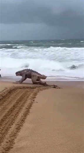 Mysterious Sea Creature Attacks Woman – Caught on Camera 😱🌊 #shorts