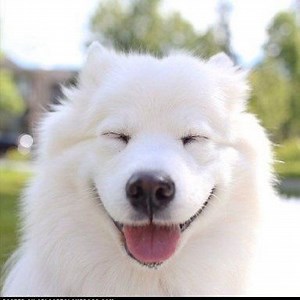 Are SWAM instruments currently the product line that has full control over pitch slide/portamento timing with MPE controllers?