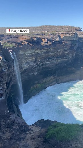 So many beautiful trails in the Royal National Park! #royalnationalpark