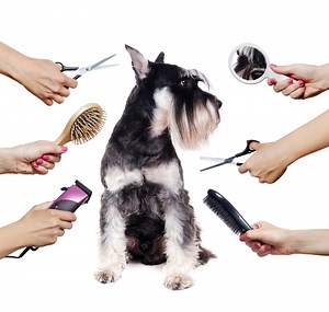 Apk Free Movie Streaming Apps For Android Box Humax A1 4K Android TV Streaming Box: Electronics Photo