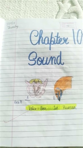 # Class 8 Study Sphere # Class8 Science # Ch 10 #Notes