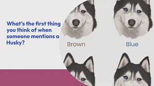 All the Siberian Husky Eye Colors Explained (With Pictures!)