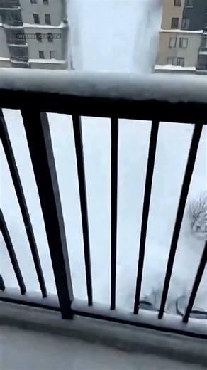 Aftermath of Winter Storm Sees Massive Snow Slide Cover Parked Cars This video is created with AI and is intended for entertainment purposes only. Descrição: In the early hours following a relentless blizzard, residents of Crestview Heights were jolted awake by a deep, rolling rumble outside their homes. The storm had finally passed, leaving behind towering drifts of compacted snow stacked along the edges of driveways and parking areas. But as temperatures subtly shifted, the enormous piles bega