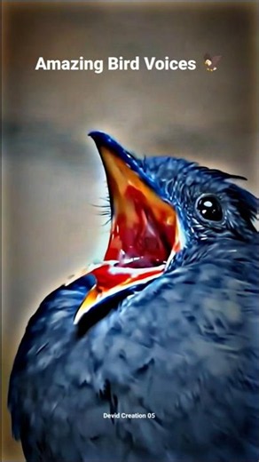 🐥 Amazing Bird Voices Compilation | Nature Sounds #shorts