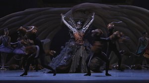 Making an entrance 🐁 In the original Sleeping Beauty choreography notations from 1890, Carabosse enters the stage with an entourage of mice. With the help of puppeteer Basil Twist, Carabosse has 24 mice to accompany her and make a dramatic entrance! PNB Dancer Zsilas Michael Hughes (seen here) has this to say about the role “It is an honor to be apart of this production, let alone have the opportunity to tell the story. My absolute favorite part of this entire process has been indulging in the 