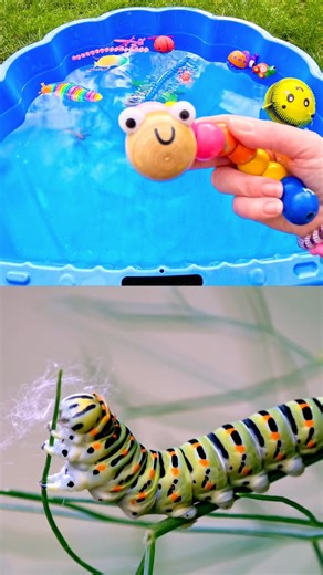 Learn Bug Insect Names for Kids with Toys: Spider Dragonfly Caterpillar Cicada Scorpion