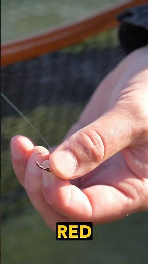 Best Fly for Pyramid Lake Fishing!