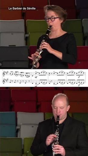 Le Barbier de Séville / Duo de Clarinette (Shorts) #clarinet #music #tobrassmusic