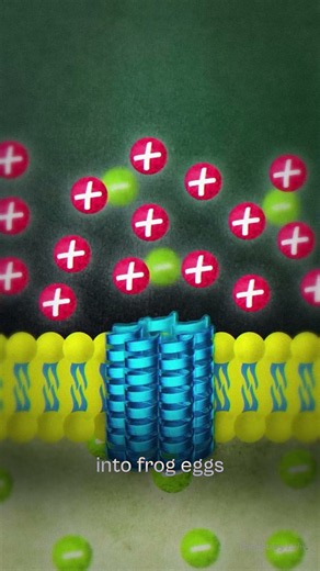 A Tiny Green Alga Just Won the Nobel Prize in Medicine
