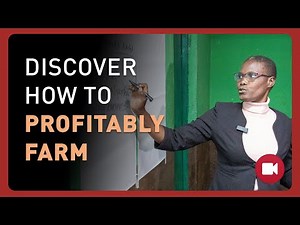 From Farming to Business: Breaking Barriers in Kenyan Agriculture