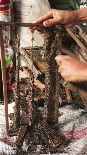Transforming Old Black Beeswax Into Reusable Wax 🐝🕯️ #shorts