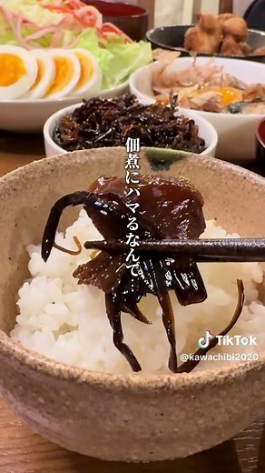 ハマる美味さ！昆布専門店のヤミツキ佃煮 ⁡ ˏˋ ほかほかの炊き立てご飯の最強パートナー🍚ˎˊ ⁡ ⁡ 藤井寺で超人気の 行列ができる佃煮屋さん！ ⁡ もう何度もリピートしています🥹 ⁡ お目当てはもちろん人気No.1の こんにゃくきくらげ！ ⁡ 200g 540円〜でたっぷりと袋に入ってるけど、 おいしくてあっという間になくなるよ✨ ⁡ 常温で3ヶ月くらい日持ちするから ギフトや手土産にぴったり☺️ ⁡ 𓇠𓇠𓇠𓇠𓇠𓇠𓇠𓇠𓇠𓇠𓇠𓇠 📍昆布専門店 叶栄堂（かなえどう） 𖠿大阪府藤井寺市岡2丁目1-53 イオン3番出口を出てすぐ 🅿︎駐車場なし ☎︎072-938-6204 ✑ 10:00-18:00 定休日 火曜 ⁡ 𓇠𓇠𓇠𓇠𓇠𓇠𓇠𓇠𓇠𓇠𓇠𓇠 #叶栄堂 #昆布専門店 #大阪グルメ #藤井寺グルメ #手土産