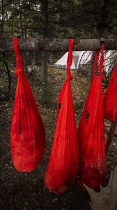 1.9K views · 9.5K reactions | Hear me out… #GearFool #TestedAndProven #Hunting #HuntersMath #GameBags | Gear Fool | Facebook