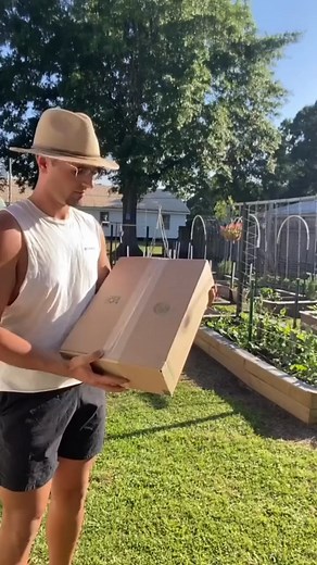 Swing When The Wind Blows: The most unique solar decorative lights on the market, our solar powered firefly light are supported by very soft and flexible wires, so when the wind blows, the lights will swing and you'll be happy to see how beautiful they are super unique solar light that you can't see anywhere else. | Stringlined.to | Facebook