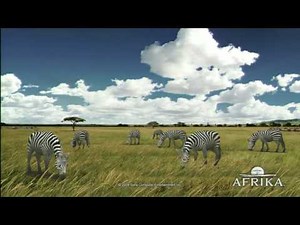 PlayStation Firmware 3.0 - Clean Video of new Afrika Dynamic Theme Background (HD)